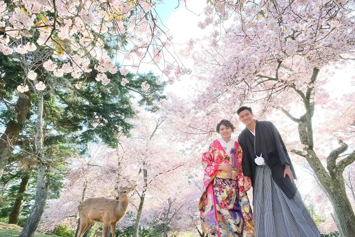 HÀ NỘI - OSAKA - KOBE - KYOTO - NAGOYA - PHÚ SĨ – TOKYO – HÀ NỘI