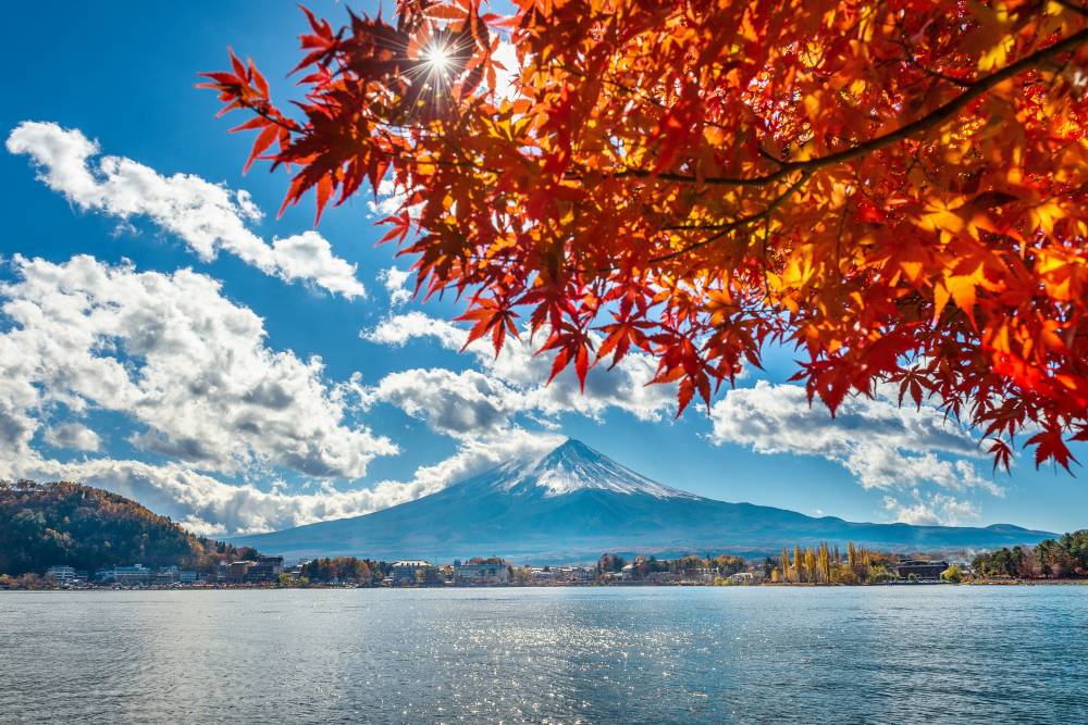 DU LỊCH MÙA THU NHẬT BẢN NAGOYA – SHIRAKAWAGO – TAKAYAMA – KAMIKOCHI – YAMANASHI – FUJI – TOKYO