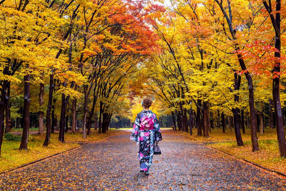 CHƯƠNG TRÌNH CHÀO THU NHẬT BẢN 2026 TOKYO – HỘI CHỢ – FUJI – NAGOYA – KYOTO – KOBE – OSAKA