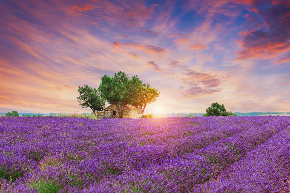 Tour Châu Âu: Khám Phá Miền Nam Nước Pháp - Monaco - Tây Ban Nha - Bồ Đào Nha