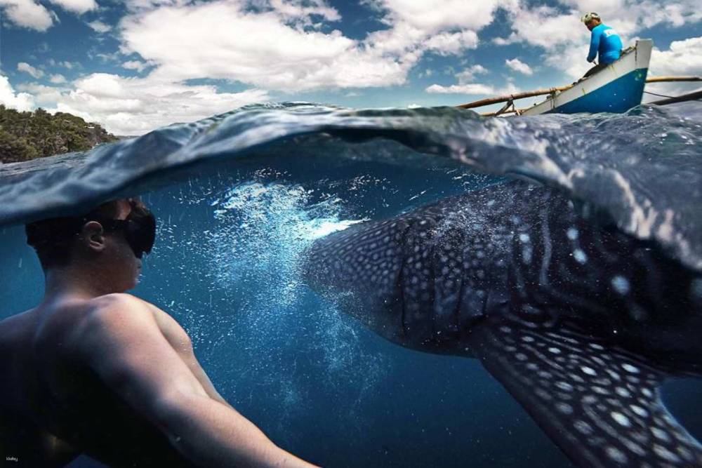 Tour Đảo Cebu - Bohol Philippines - Nữ Hoàng Biển Phương Nam