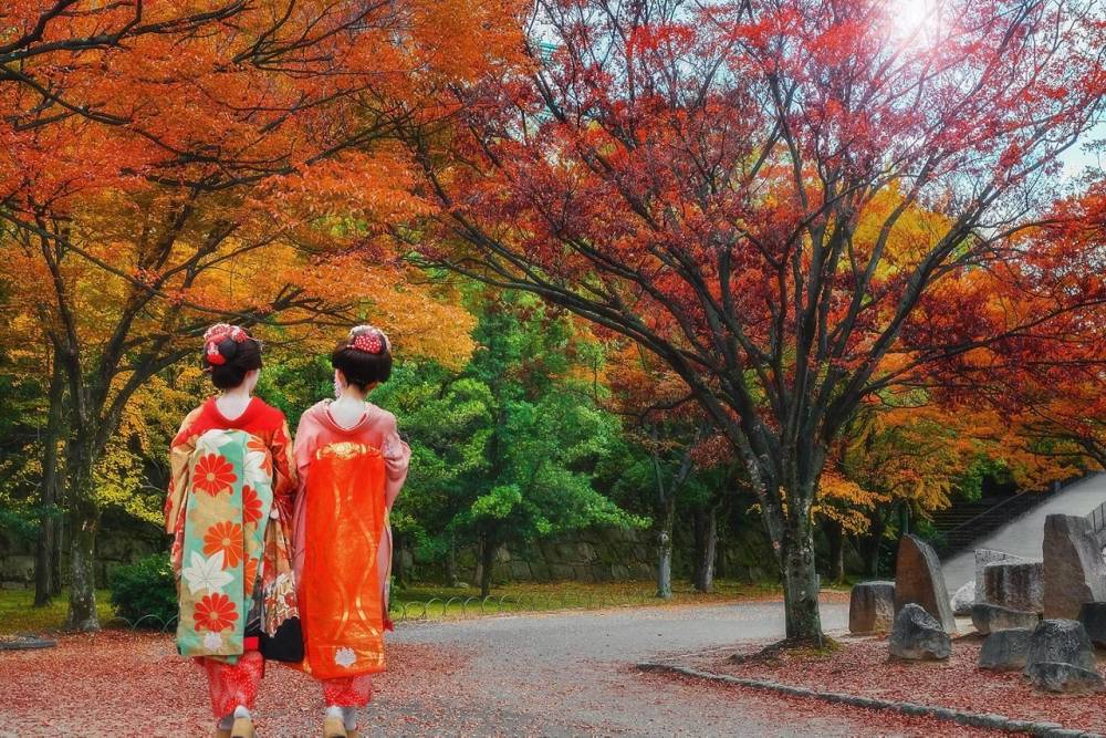 Tour Charter Nhật Bản Mùa Lá Đỏ 5N4Đ: Niigata - Aizu - Tokyo
