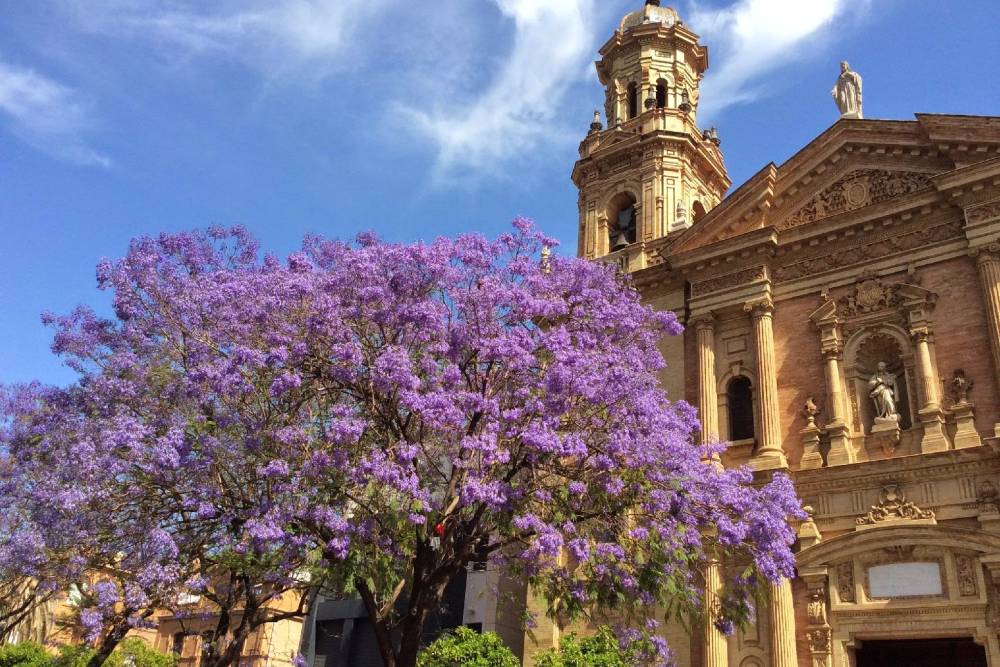 Sắc Tím Nam Âu: Bồ Đào Nha - Tây Ban Nha - Monaco - Miền Nam Pháp