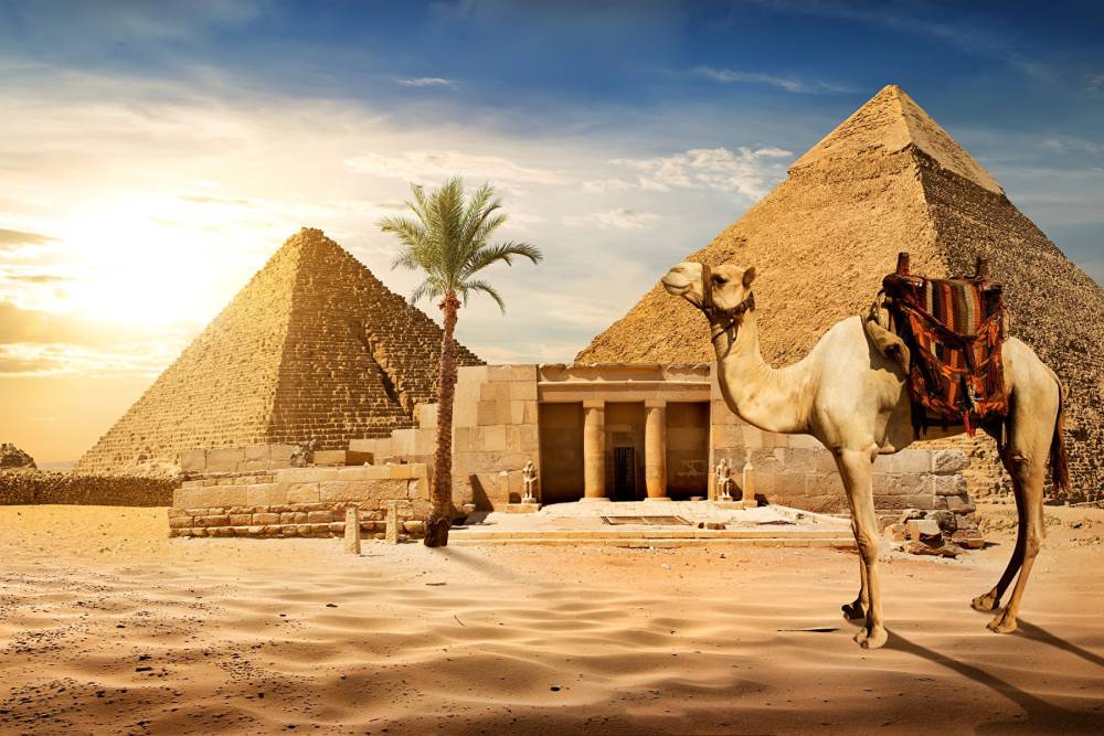 Hành Trình Liên Lục Địa Á Phi: Ai Cập - Qatar