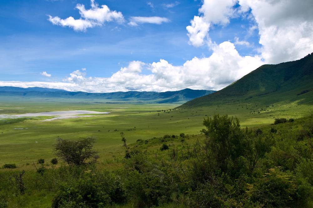 Tinh Hoa Safari Châu Phi: Đại Di Cư Kỳ Vĩ Ethiopia – Kenya – Tanzania (Bay thẳng)