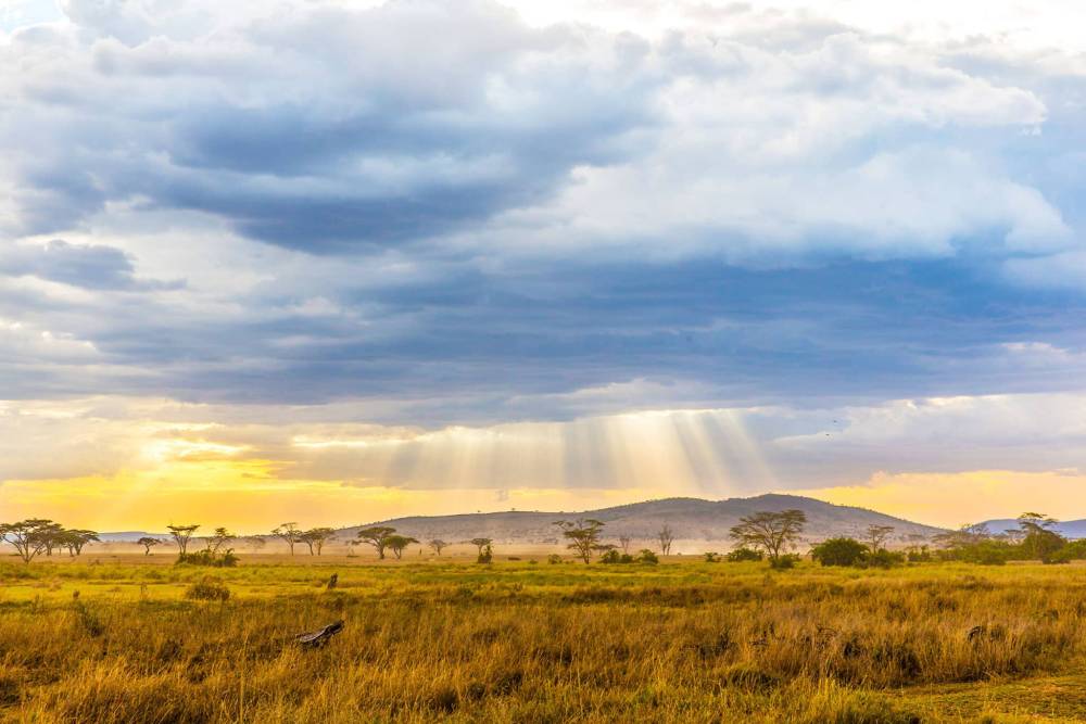 Tinh Hoa Safari Châu Phi: Đại Di Cư Kỳ Vĩ Ethiopia – Kenya – Tanzania (Bay thẳng)