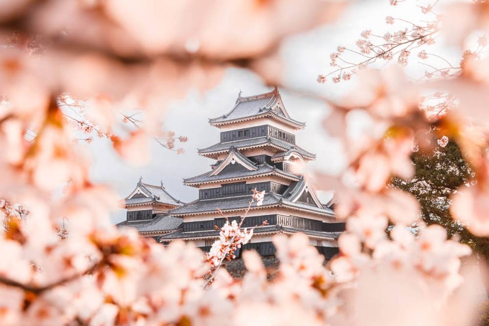 Tour Nhật Bản: Khám Phá Bức Tường Tuyết Tateyama Kỷ Lục