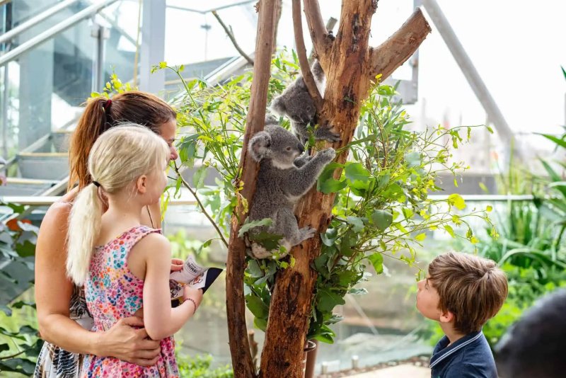 Tour Úc Tết Âm lịch: Du Xuân nước Úc bay thẳng Vietnam Airlines