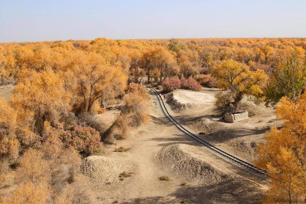 Tour Trung Quốc: Nam Tân Cương - Truyền Kỳ Tây Vực