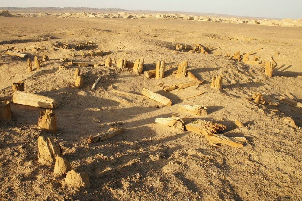 Tour Trung Quốc: Nam Tân Cương - Truyền Kỳ Tây Vực