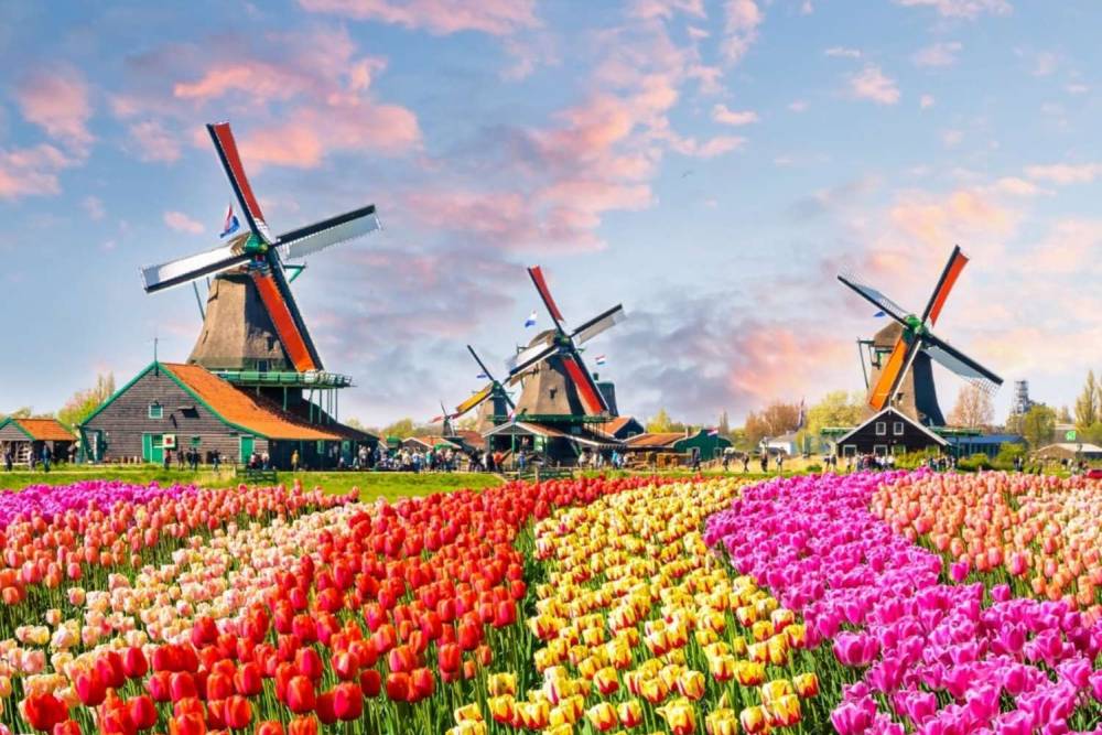 Sắc Xuân Châu Âu: Say Đắm Lễ Hội Hoa Keukenhof & Hành Trình 6 Nước