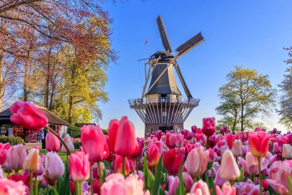 Sắc Xuân Châu Âu: Say Đắm Lễ Hội Hoa Keukenhof & Hành Trình 6 Nước