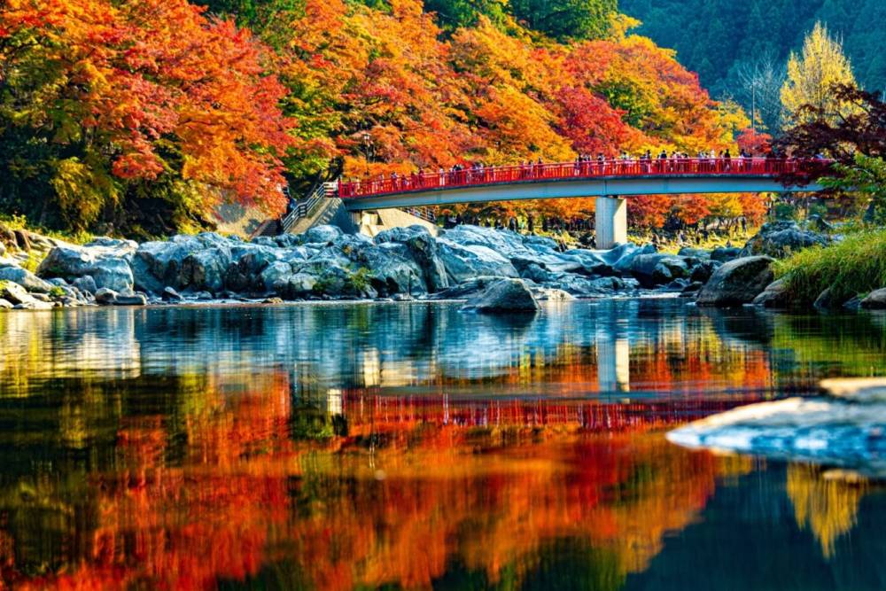 Tour Nhật Bản: Shirakawago - Kamikochi - Tokyo Chớm Thu