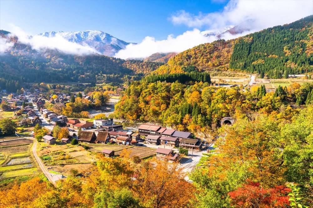 Tour Nhật Bản: Shirakawago - Kamikochi - Tokyo Chớm Thu