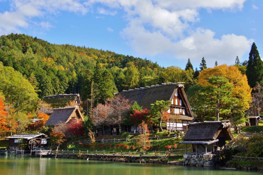 Tour Nhật Bản: Shirakawago - Kamikochi - Tokyo Chớm Thu