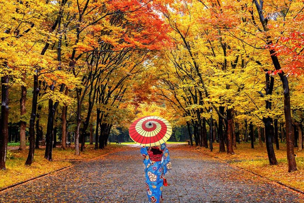 Tour Nhật Bản: Shirakawago - Kamikochi - Tokyo Chớm Thu