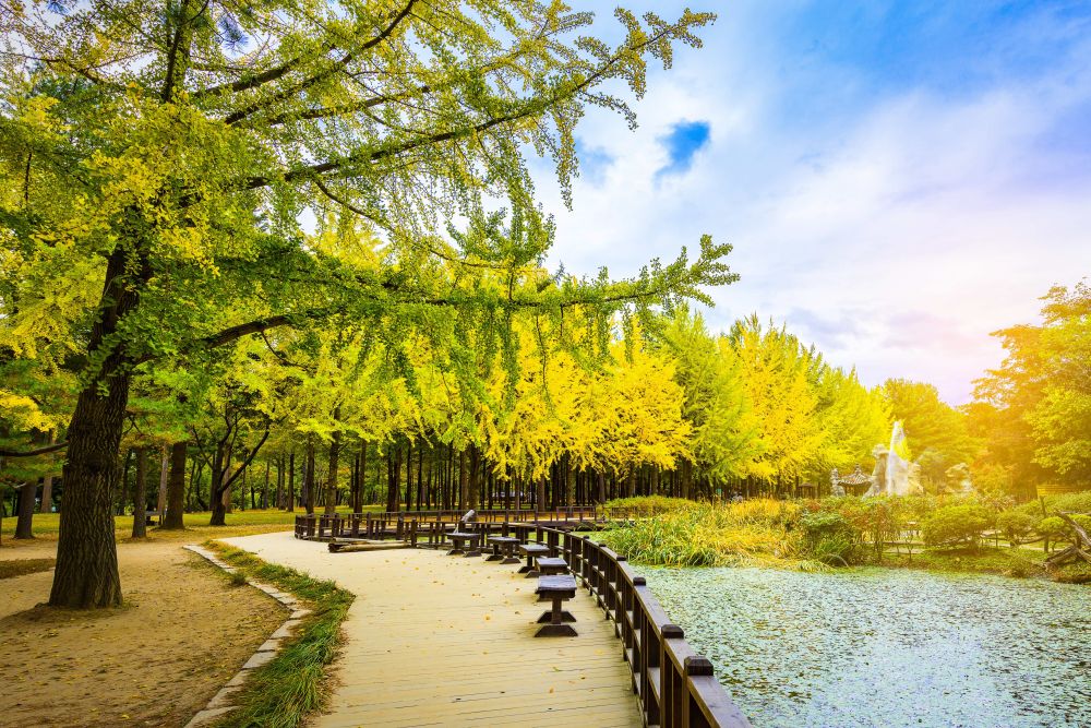 Tour Hàn Quốc: Seoul - Đảo Jeju - Nami - Everland