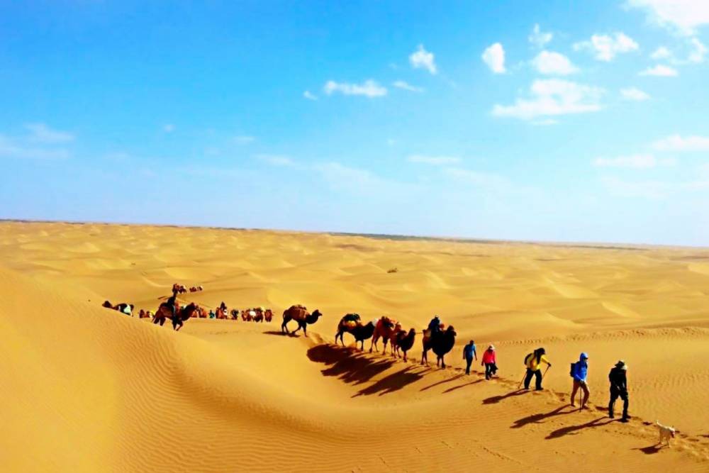 Tour Mông Cổ: Chinh Phục Vó Ngựa Thảo Nguyên