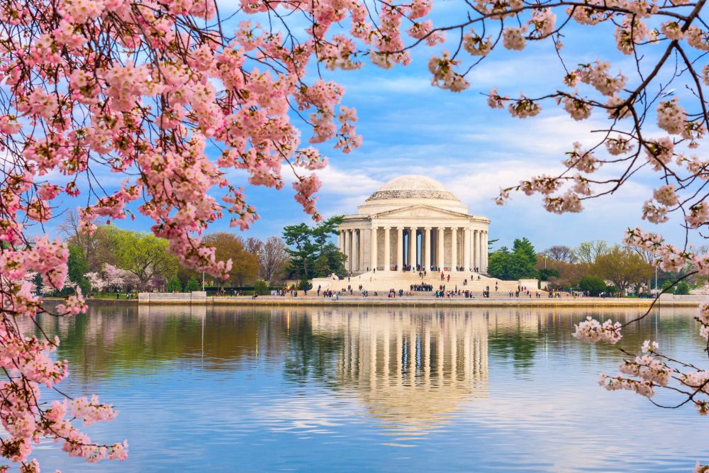 Tour Mỹ: Liên tuyến đặc biệt Đông Tây mùa hoa anh đào