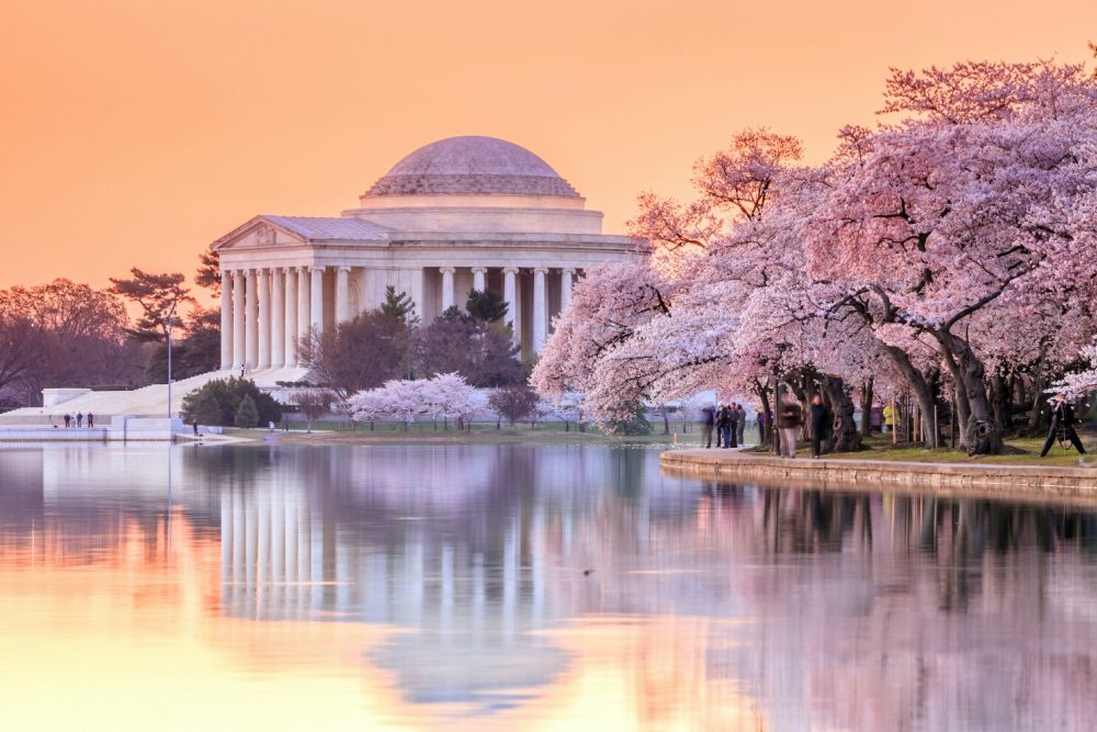 Tour Mỹ: Liên tuyến đặc biệt Đông Tây mùa hoa anh đào