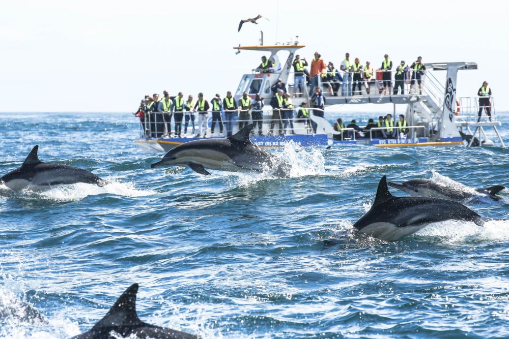 Tour Nam Phi Johannesburg - Prestoria - Sun City Cape Town