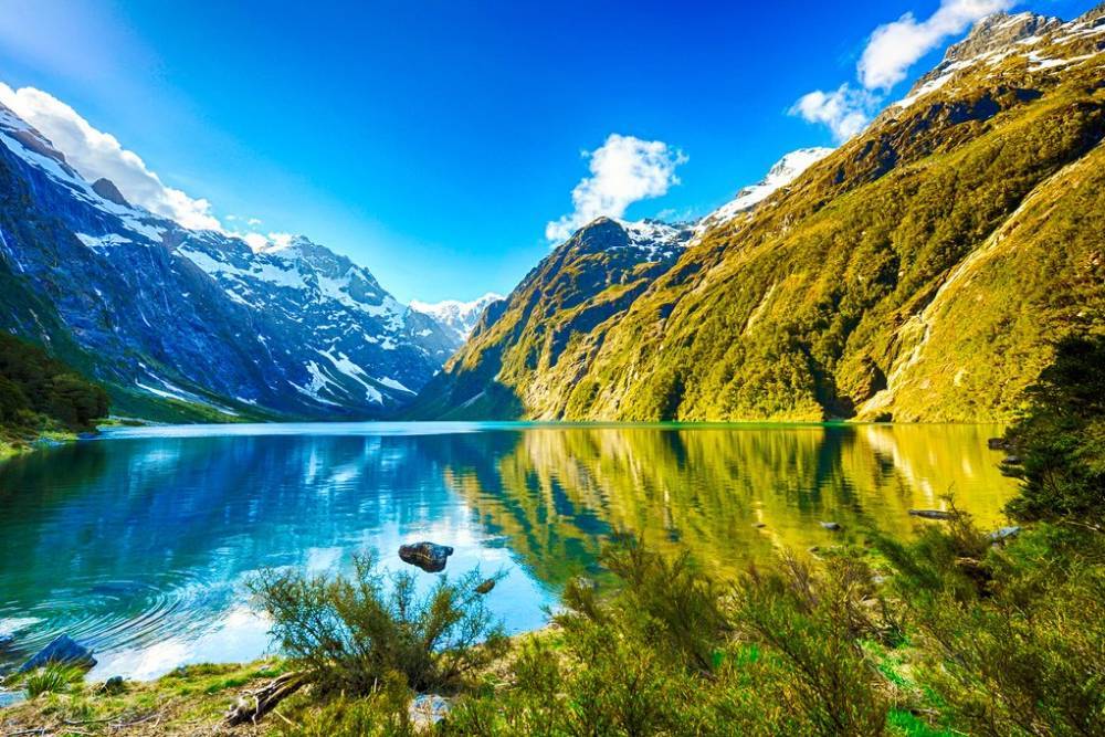 Tour New Zealand: Vùng Đất của Chúa trời ( Tour Tết Âm lịch 2024)