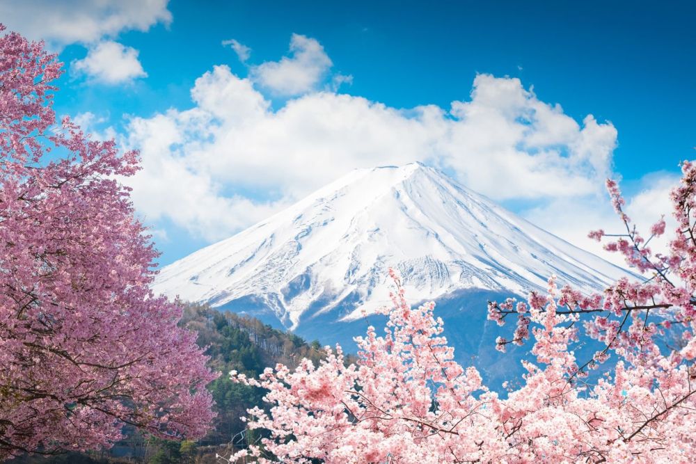 Tour Nhật Bản: Cung Đường Mùa Xuân Ngắm Hoa Anh Đào