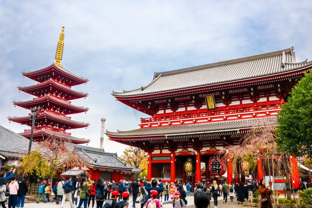 Tour Nhật Bản: Cung Đường Romantic Mùa Thu 2024