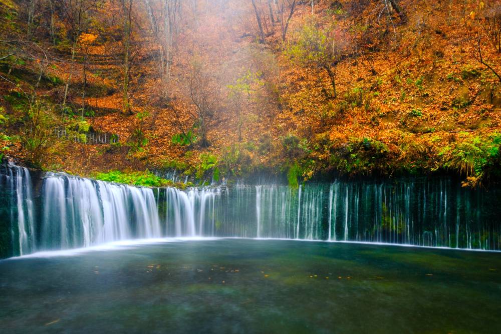 Cung Đường Romantic Mùa Thu Osaka - Kyoto - Nagoya - Núi Phú Sĩ - Tokyo