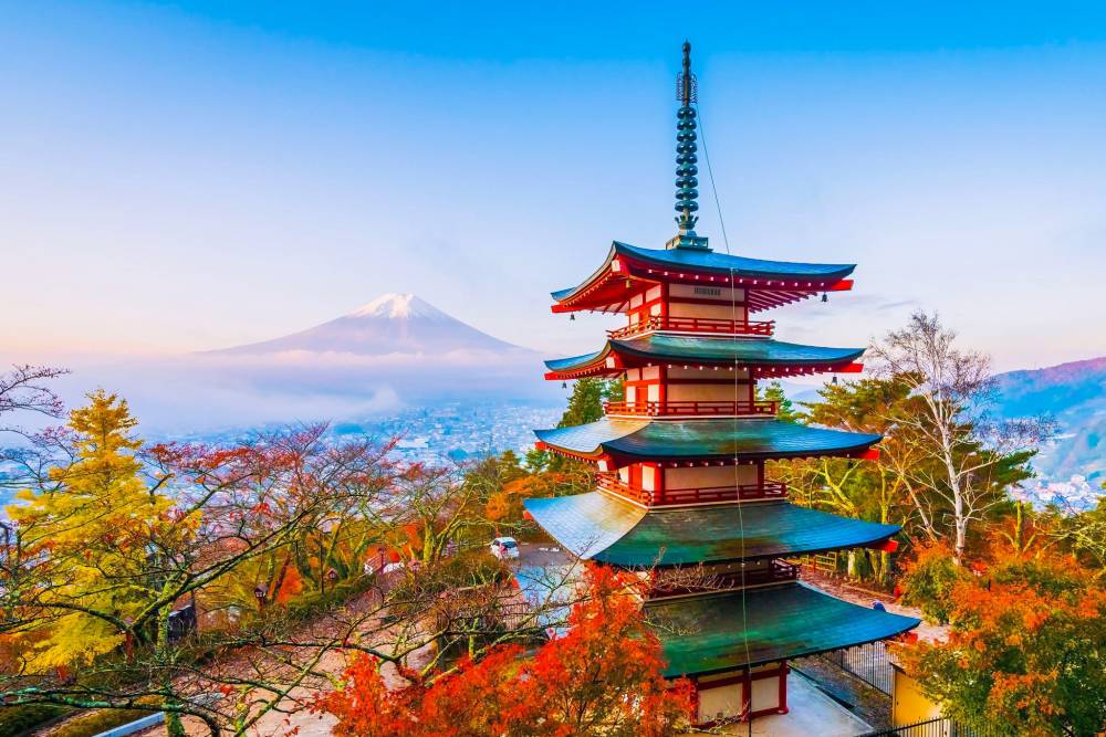 Tour Nhật Bản: Cung Đường Vàng Dịu Dàng Sắc Thu