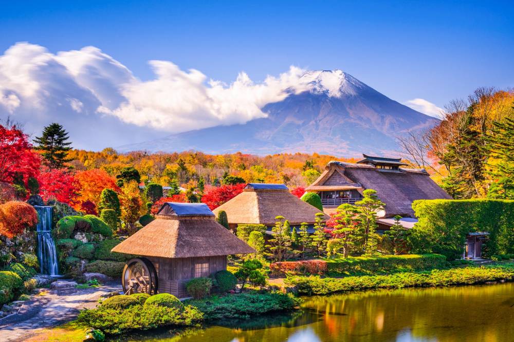 Tour Nhật Bản: Cung Đường Vàng Dịu Dàng Sắc Thu