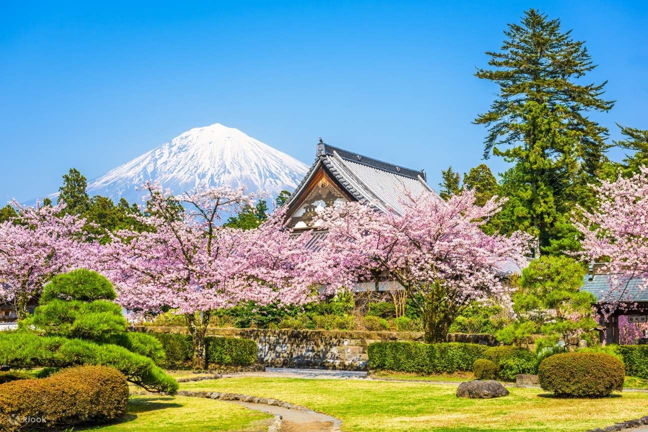 Tour Nhật: Mùa Hoa Anh Đào Nở Rộ | GoldenTour