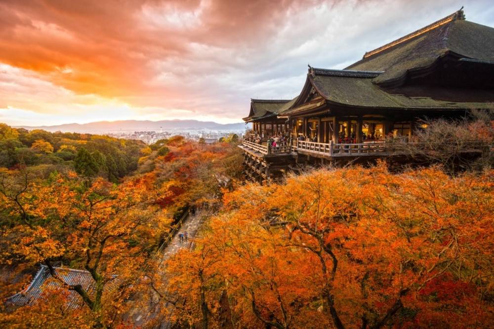 Tour Nhật Bản 7 ngày cao cấp mùa thu ngắm hoa anh đào trái mùa (Tour thiết kế)