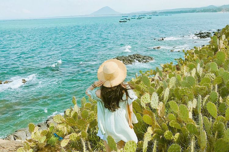 Tour Quy Nhơn - Tuy Hòa - Hoa Vàng Trên Cỏ Xanh