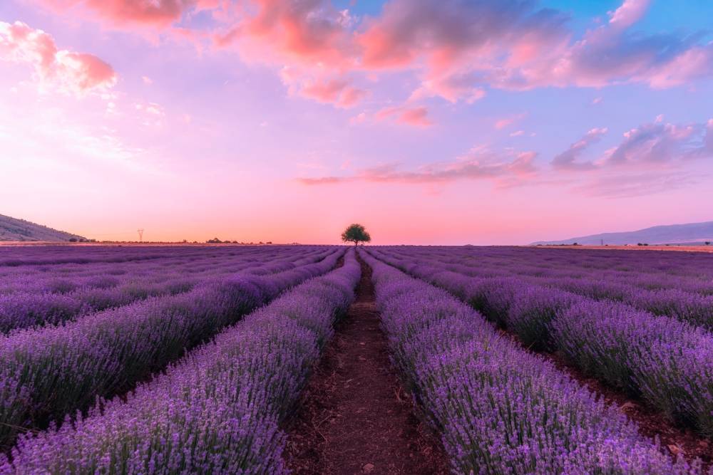 Tour Thổ Nhĩ Kỳ: Nơi Giao Thoa Văn Hóa Á - Âu