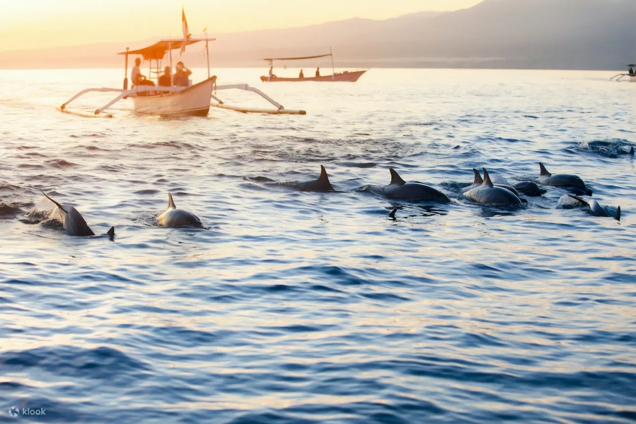 Khai Xuân Đại Cát Bali: Săn Cá Heo & Cổng Trời Handara