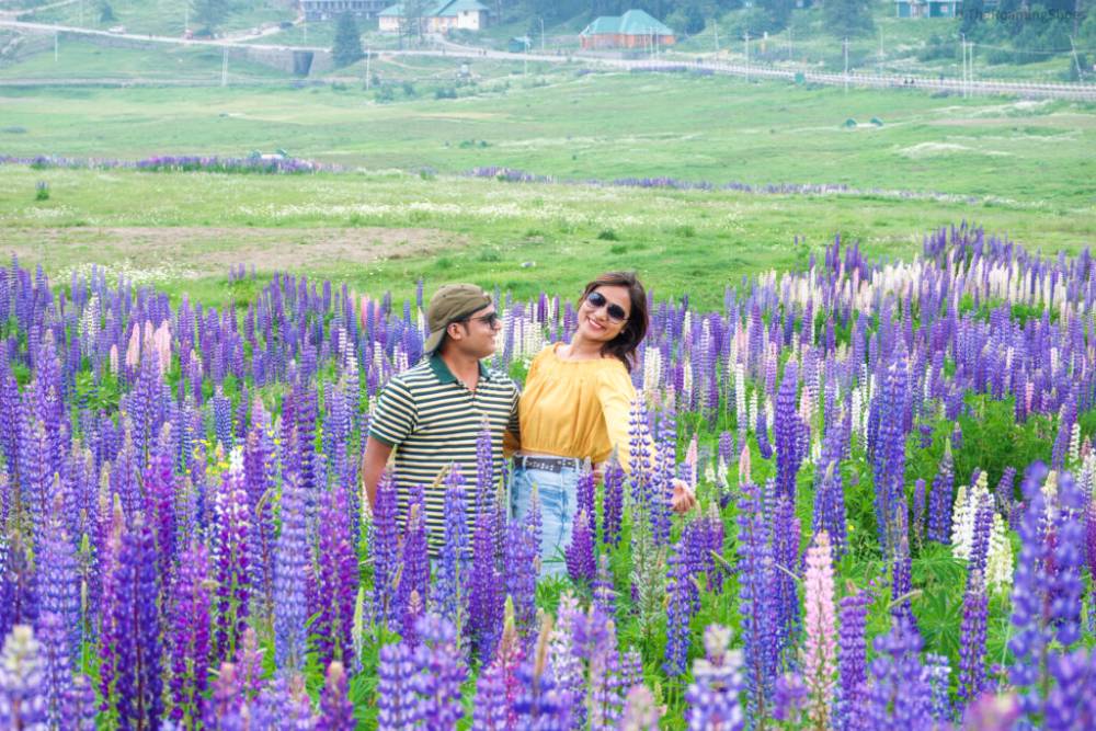 Tour Ấn Độ: Chiêm Ngưỡng Vẻ Đẹp Vùng Sơn Cước Kashmir