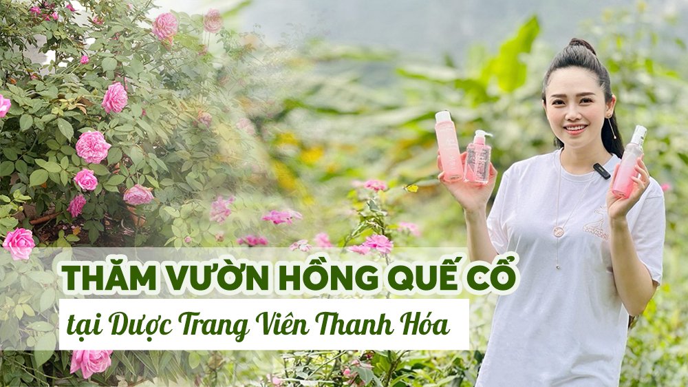 Dear Nature Mang Tới Bí Quyết Làm Đẹp Da Từ Cánh Đồng Hoa Hồng Quế Cổ