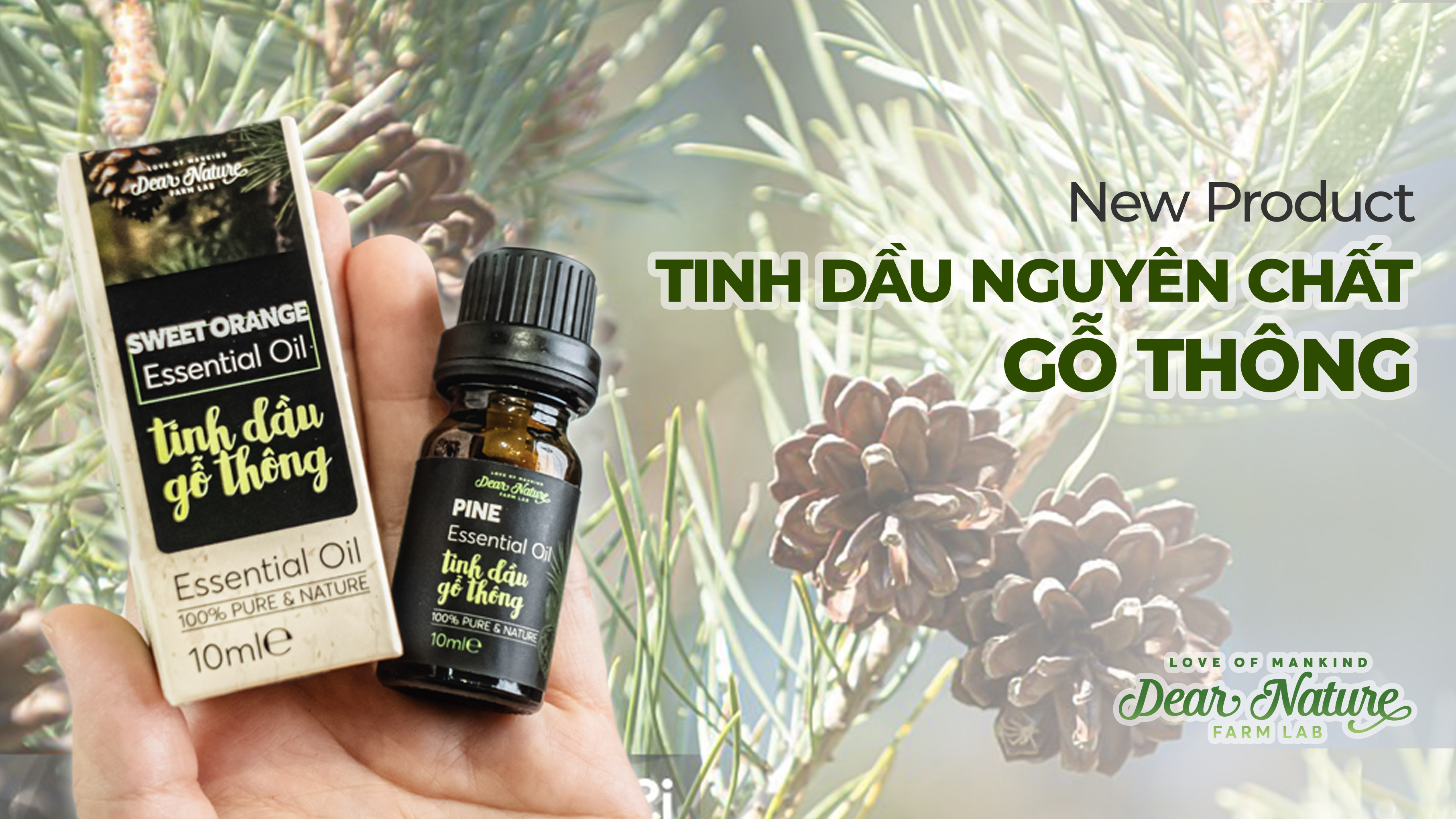 Ra Mắt Tinh Dầu Nguyên Chất Gỗ Thông Dear Nature - Hơi Thở Núi Rừng, An Yên Tâm Hồn