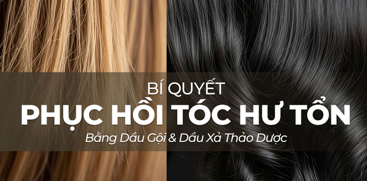 Tóc Khô Xơ, Hư Tổn Có