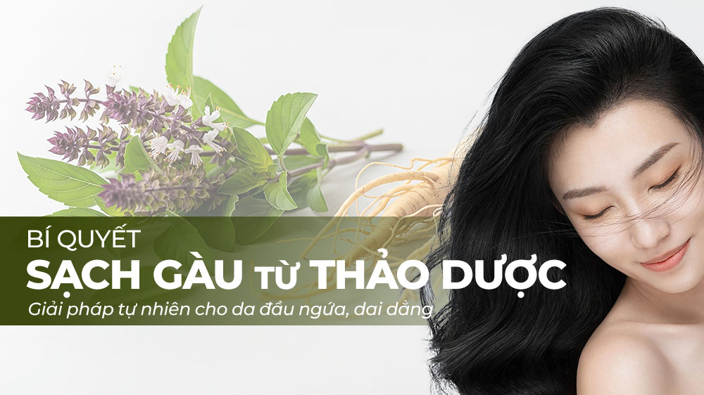 Gàu & Ngứa Da Đầu Dai Dẳng?