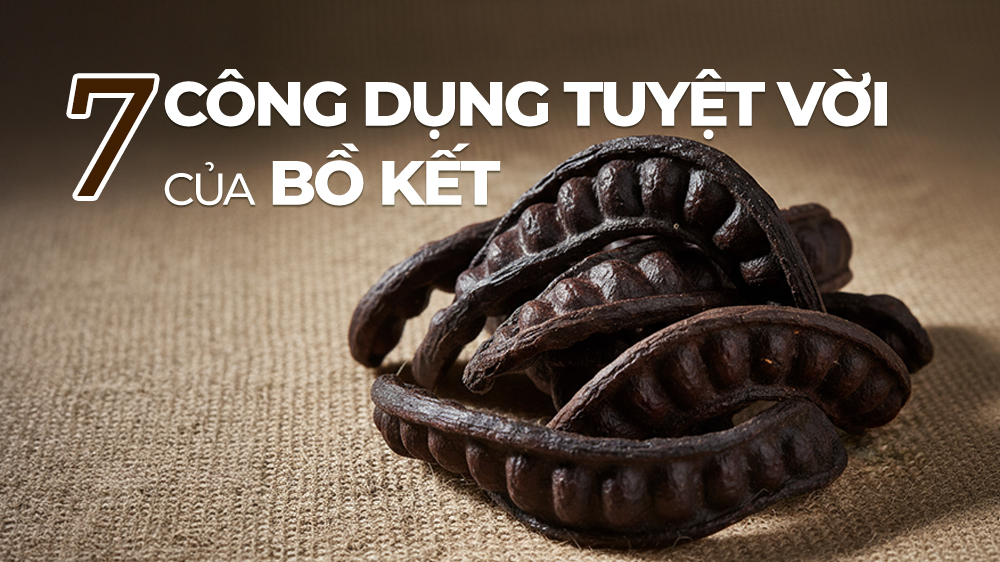 Bồ Kết Là Gì? 7 Công Dụng Tuyệt Vời Của Bồ Kết Cho Mái Tóc