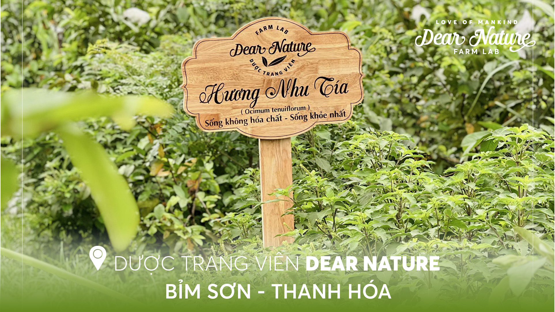 Khám phá Dược Trang Viên Dear Nature - Khoẻ Tự Nhiên: Nơi ươm mầm sức khỏe từ thiên nhiên