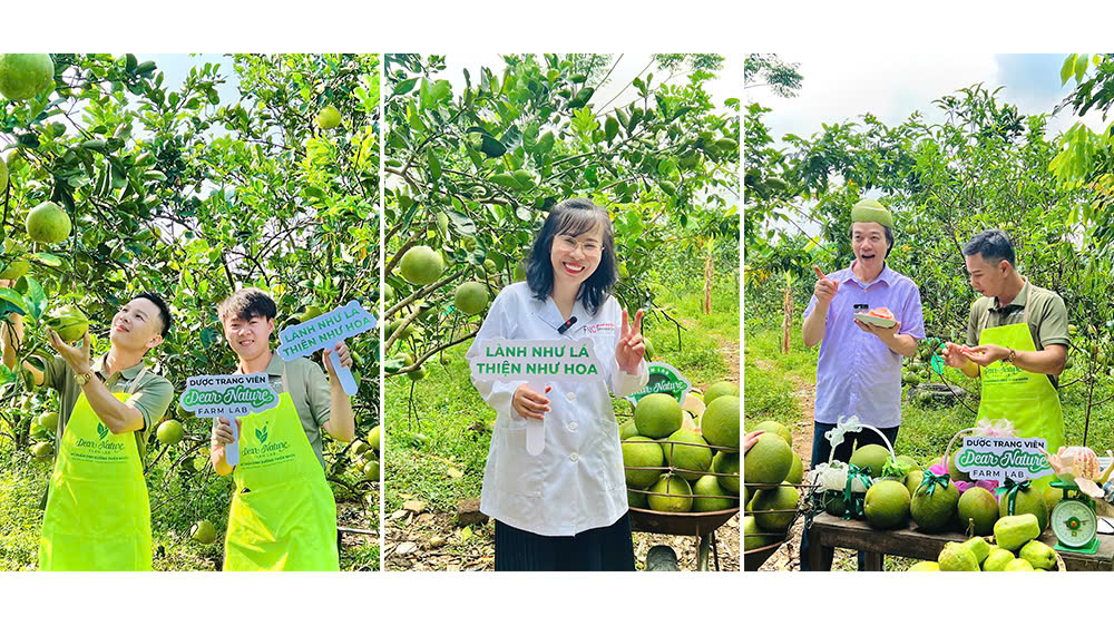 GỬI TỚI BẠN NHỮNG SẢN PHẨM XANH - SẠCH - AN TOÀN TỪ DƯỢC TRANG VIÊN DEAR NATURE