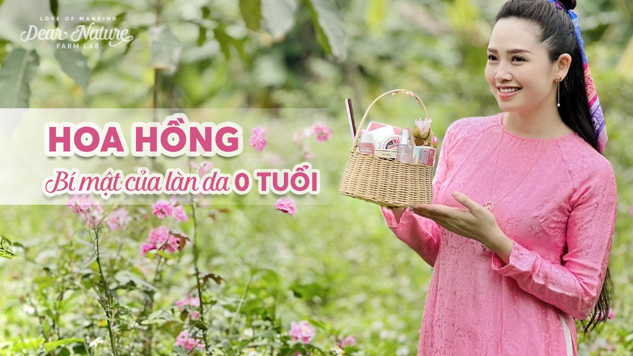 Vén màn những công dụng làm đẹp tuyệt vời của hoa hồng