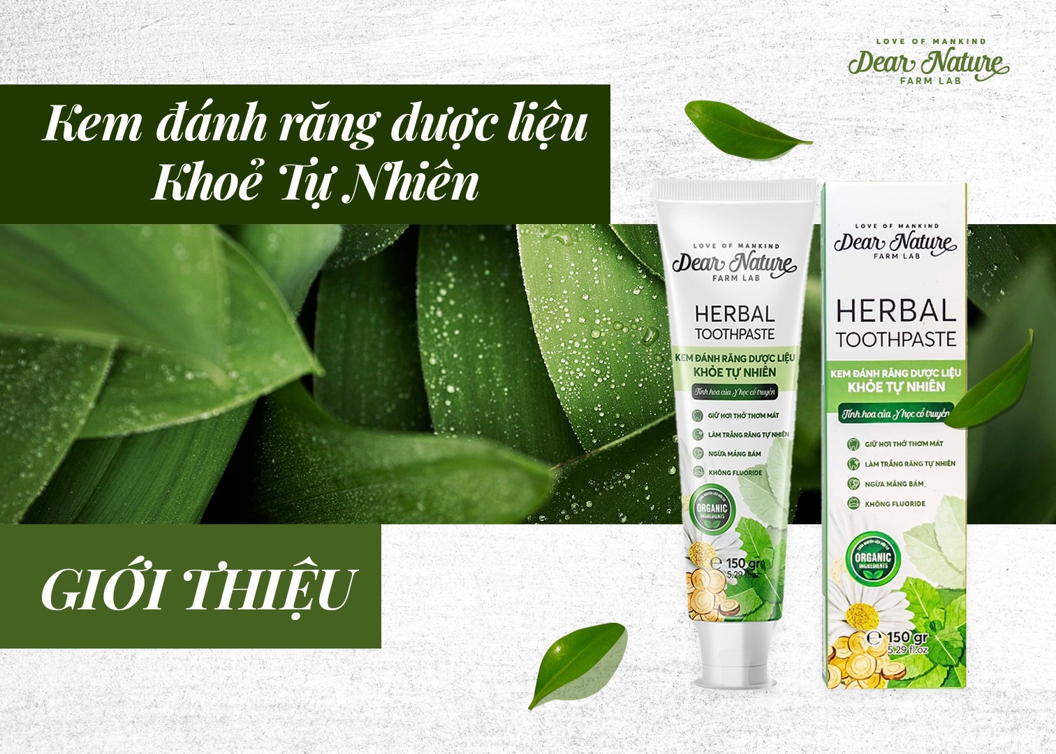[GIỚI THIỆU SẢN PHẨM] KEM ĐÁNH RĂNG DƯỢC LIỆU KHOẺ TỰ NHIÊN
