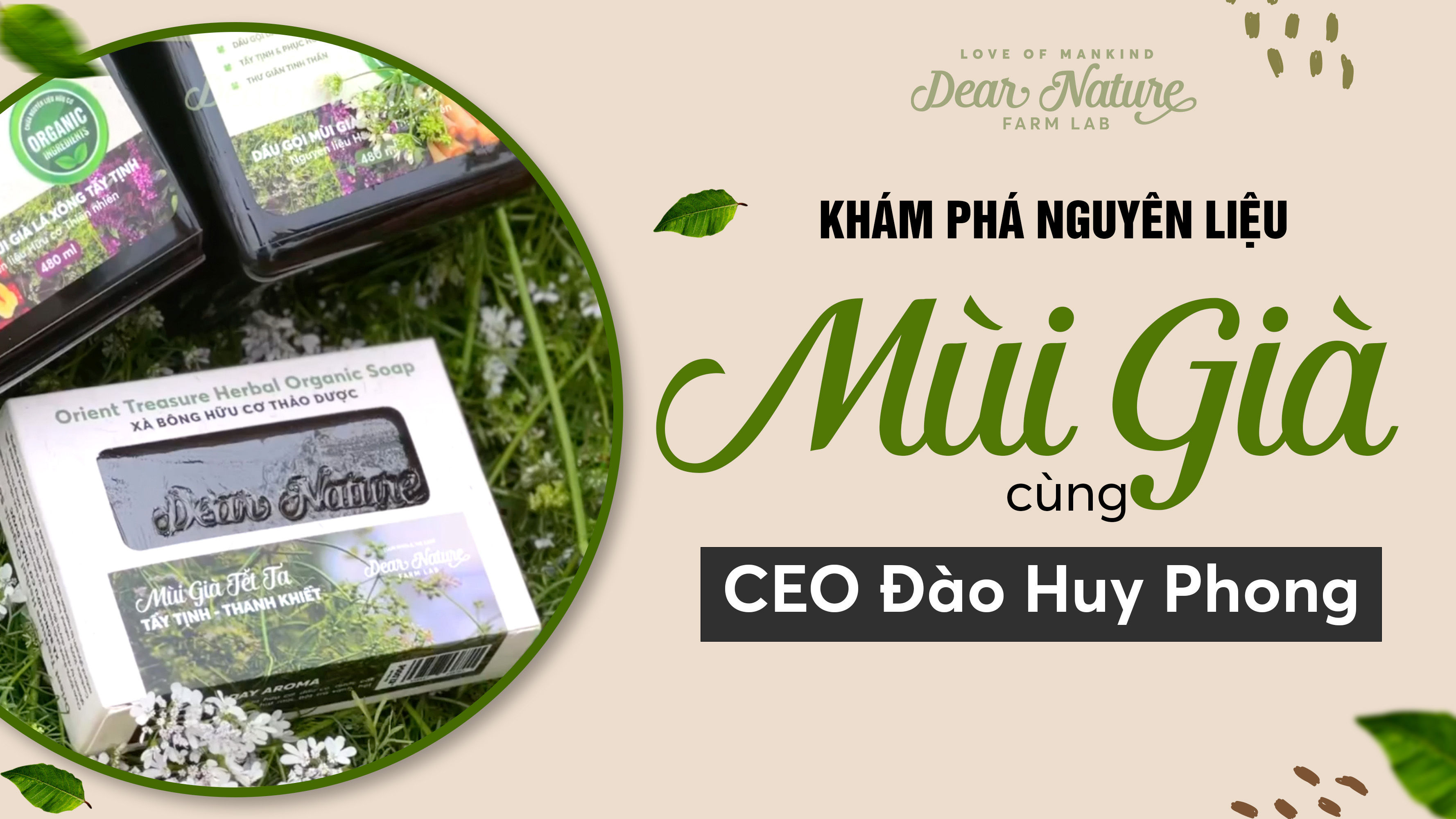 Cùng CEO Đào Huy Phong tìm hiểu Đặc điểm và Công dụng của Mùi Già