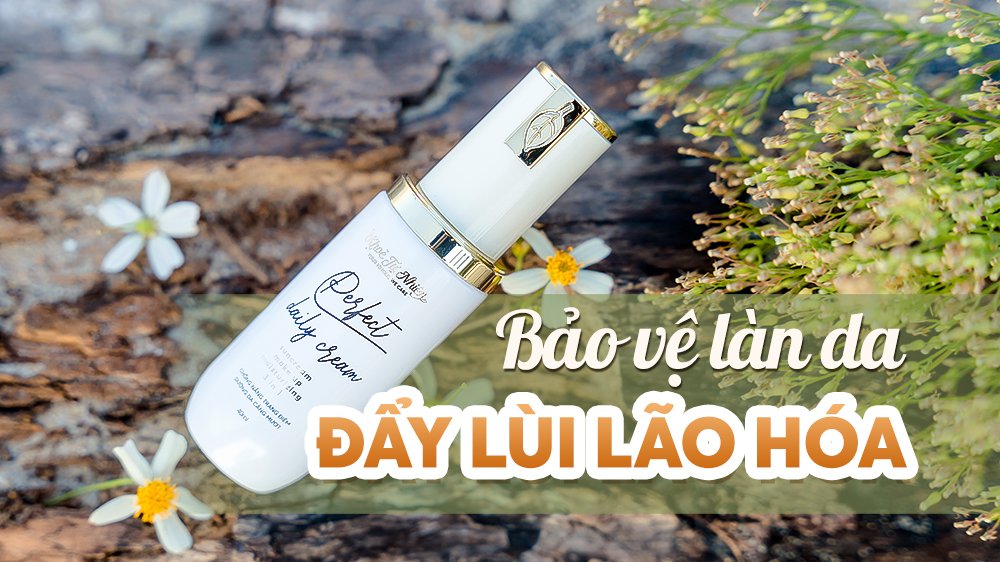 Vượt qua mùa hè rực rỡ cùng Kem chống nắng dưỡng da đa năng Perfect Daily