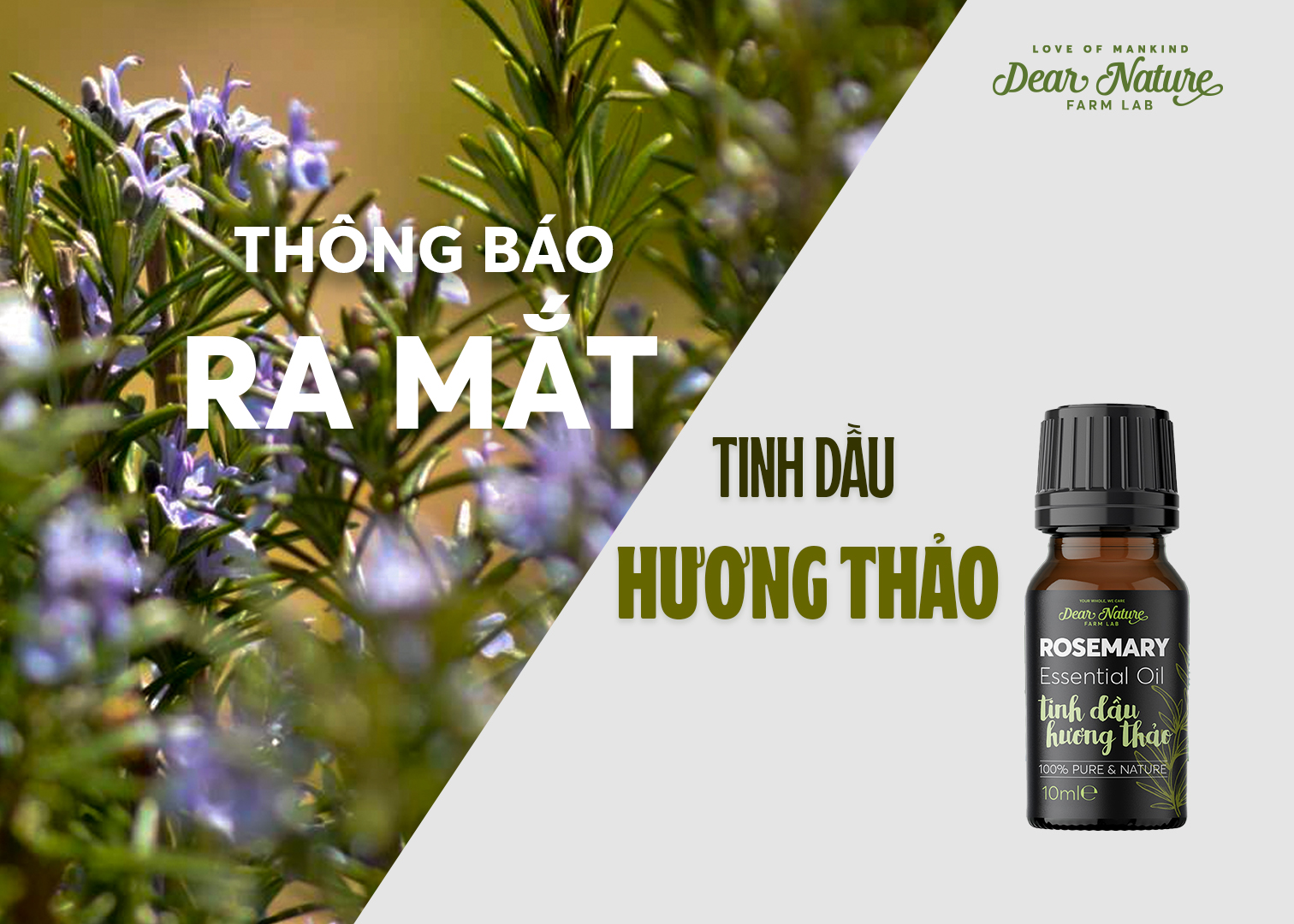 TINH DẦU HƯƠNG THẢO: LÀN DA TRẺ TRUNG VÀ TÓC ÓNG Ả DƯỚI TÁC ĐỘNG KỲ DIỆU