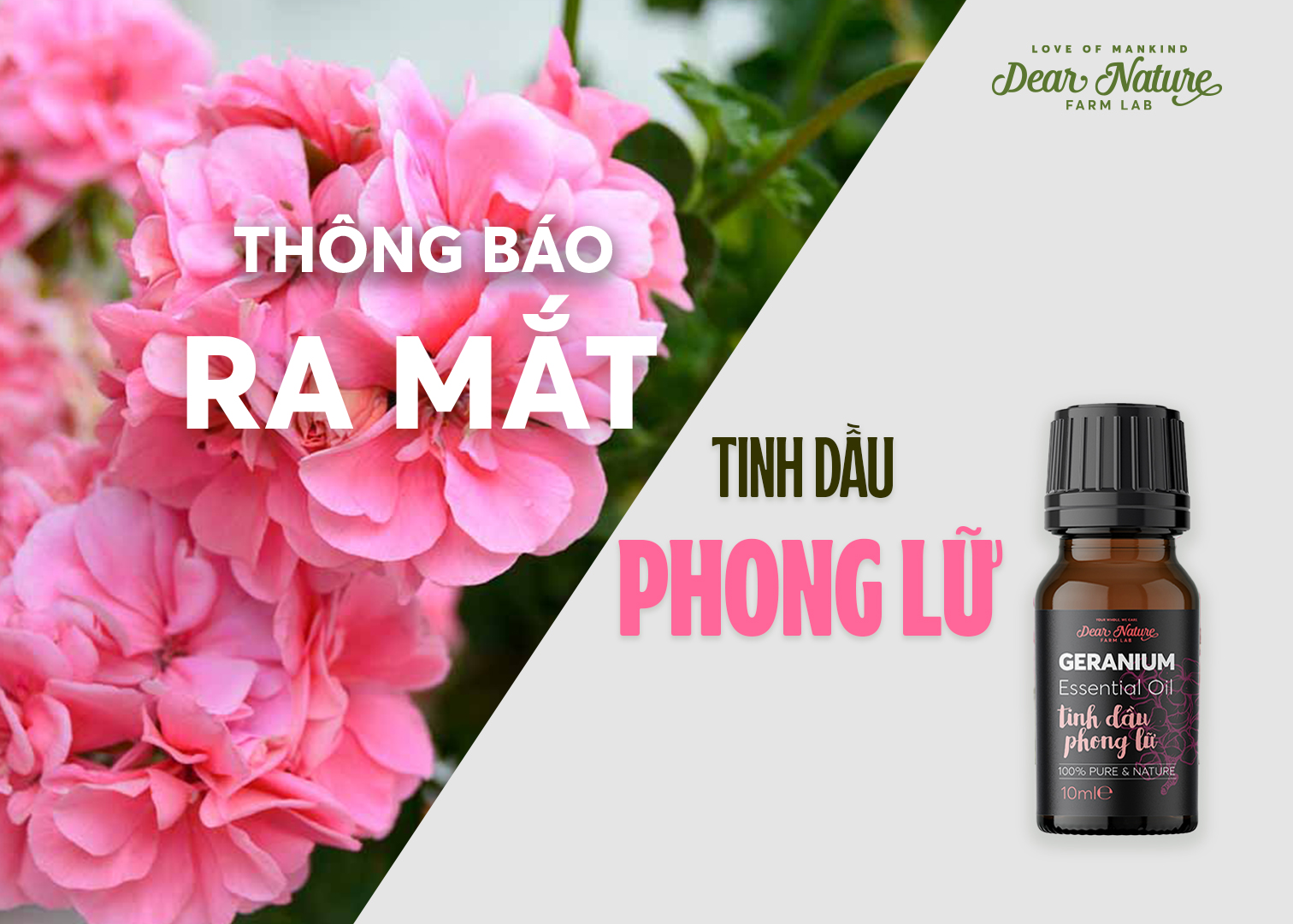 TINH DẦU PHONG LỮ - BÍ QUYẾT LÀM ĐẸP TỰ NHIÊN CHO PHỤ NỮ HIỆN ĐẠI